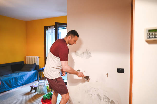 Best Post-Flood Mold Remediation in Shelley, ID